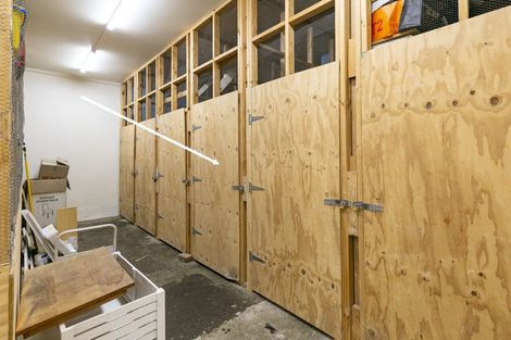 Photo of property in Tennyson Apartments, 13/25 Tennyson Street, Te Aro, Wellington, 6011