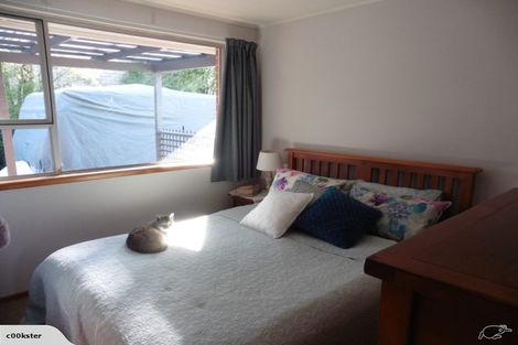 Photo of property in 57 Poplar Street, Gleniti, Timaru, 7910