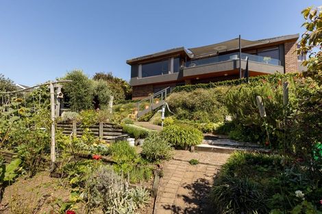 Photo of property in 17 Farnell Court, Omokoroa, 3114