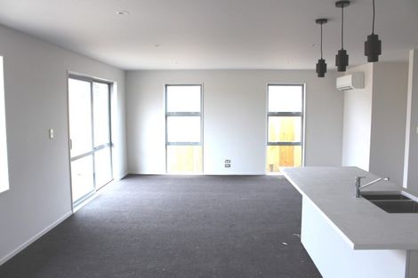 Photo of property in 25 Zabeel Street, Lincoln, 7608