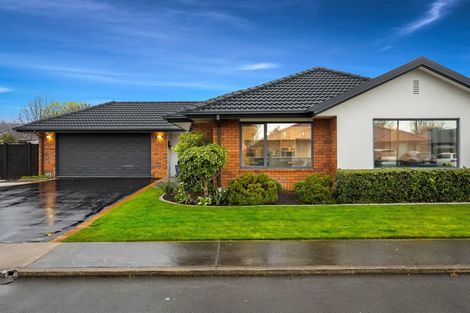 Photo of property in 16 Anglem Way, Northwood, Christchurch, 8051