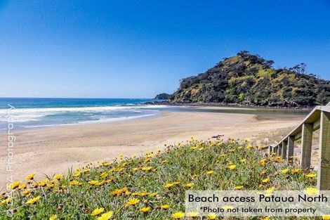 Photo of property in 1850 Pataua North Road, Pataua North, Whangarei, 0175