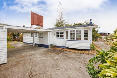 Photo of property in 45 Worcester Street, Ashhurst, 4810