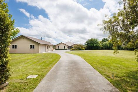 Photo of property in 167 Pharazyn Street, Feilding, 4702