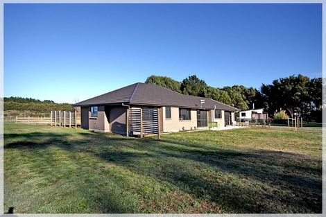Photo of property in 77 Bergin Road, Foxton, 4814