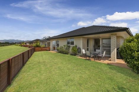 Photo of property in 31 Malta Crescent, Katikati, 3129