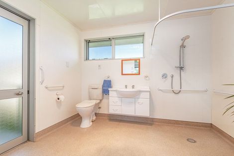 Photo of property in 137 Soldiers Road, Tangimoana, Palmerston North, 4476