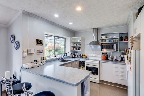 Photo of property in 21 Bucksburn Place, Greenmeadows, Napier, 4112