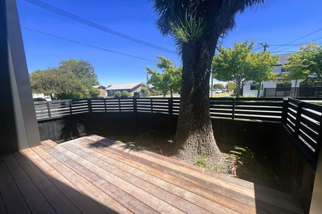 Photo of property in 57 Avalon Street, Richmond, Christchurch, 8013