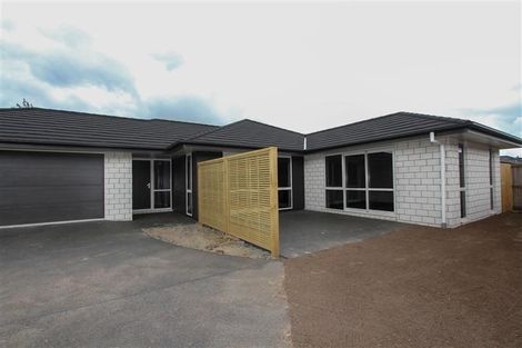 Photo of property in 238 Dixon Road, Fitzroy, Hamilton, 3206