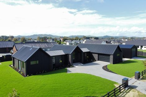 Photo of property in 31 Catalyst Avenue, Leamington, 3432