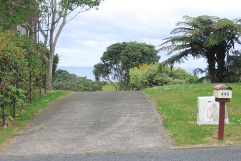 Photo of property in 445 Onemana Drive, Onemana, Whangamata, 3691