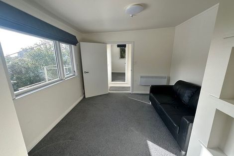 Photo of property in 8 Alameda Terrace, Aro Valley, Wellington, 6021