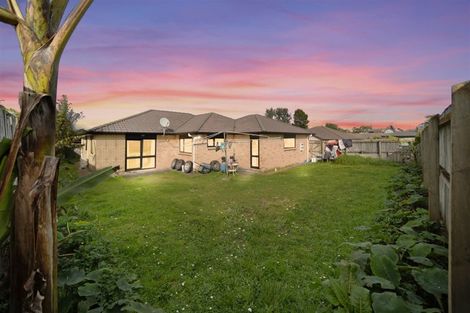 Photo of property in 33 Lachlan Place, Favona, Auckland, 2024