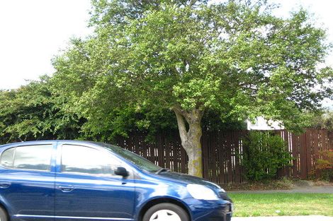 Photo of property in 131 Halswell Road, Hillmorton, Christchurch, 8025