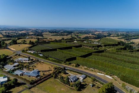 Photo of property in 233 Ross Road, Whakamarama, Tauranga, 3179