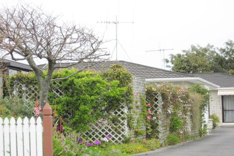 Photo of property in 19c Fergusson Street, Springvale, Whanganui, 4501