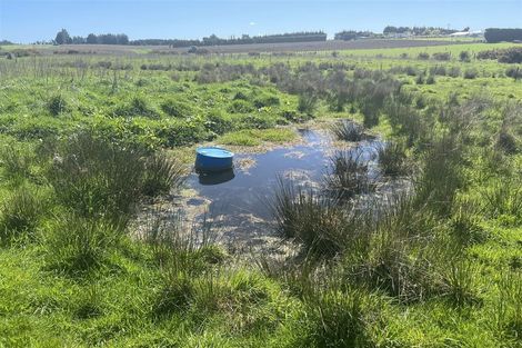 Photo of property in 44 Queen Street, Winton, 9720