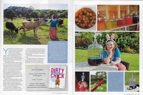 Photo of property in 521 Riponui Road, Purua, Whangarei, 0176