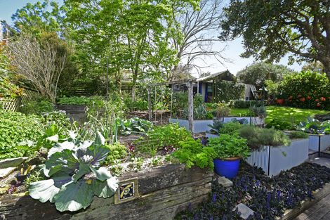 Photo of property in 11a Victoria Street, Warkworth, 0910