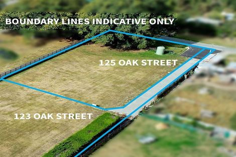 Photo of property in 125 Oak Street, Orari, Temuka, 7992