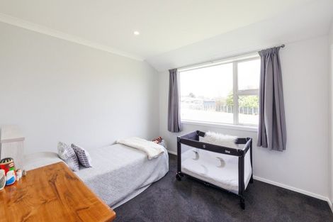 Photo of property in 21 Pukeko Road, Bunnythorpe, Feilding, 4775