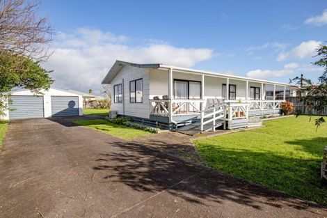 Photo of property in 6 Hale Place, Ngatea, 3503