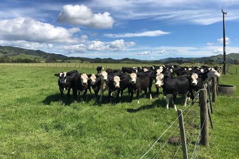 Photo of property in 3512 Mangakahia Road, Pakotai, Whangarei, 0172