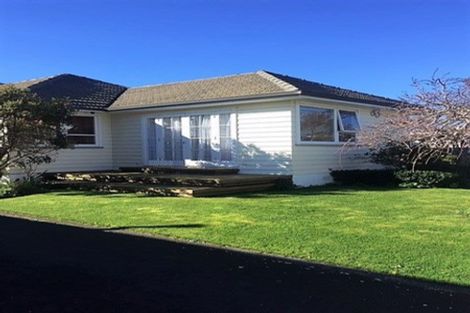 Photo of property in 29 Epuni Street, Hutt Central, Lower Hutt, 5011