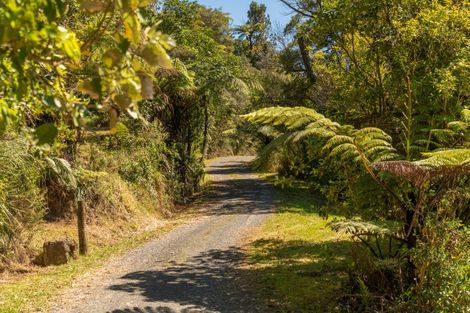 Photo of property in 820 The 309 Road, Waiau, Coromandel, 3581