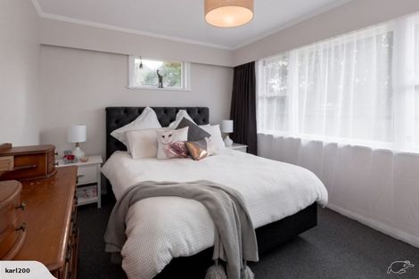 Photo of property in 117 Stanford Street North, Ashhurst, 4810