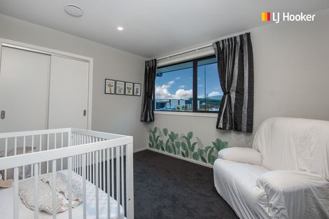 Photo of property in 17 Rodeo Place, Outram, 9019