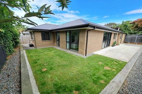 Photo of property in 45a York Street, Picton, 7220
