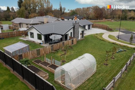 Photo of property in 17 Rodeo Place, Outram, 9019