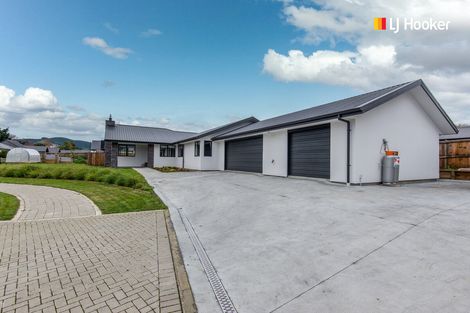 Photo of property in 17 Rodeo Place, Outram, 9019