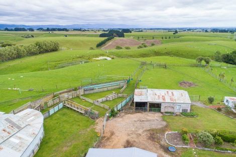 Photo of property in 828 Colyton Road, Bunnythorpe, Feilding, 4775