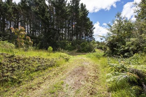 Photo of property in 325 Kaipi Road, Hillsborough, New Plymouth, 4372