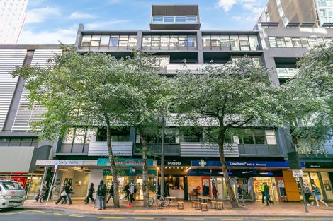 Photo of property in Gerondis Bldg Apartments, 102/60 Willis Street, Wellington Central, Wellington, 6011