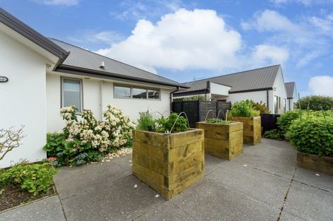 Photo of property in 81 Mary Ellen Street, Pegasus, 7612