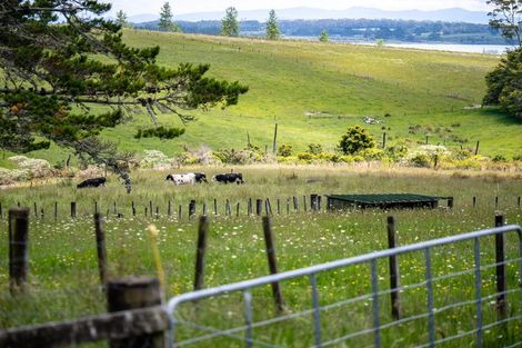 Photo of property in 696 Remuera Settlement Road, Kaikohe, 0472