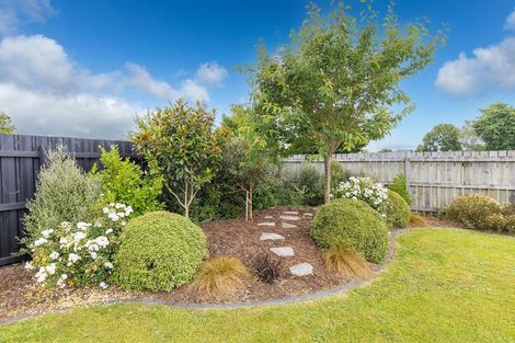 Photo of property in 31 Halberg Crescent, Chartwell, Hamilton, 3210