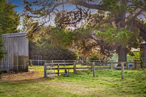 Photo of property in 321 Southbridge Leeston Road, Leeston, 7683