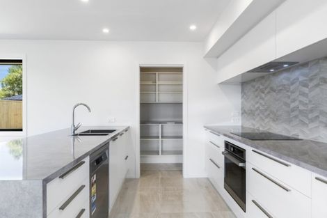 Photo of property in 31 Amur Crescent, Rolleston, 7615