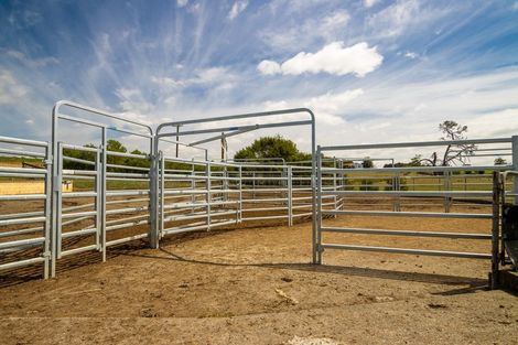 Photo of property in 376 Clark And Denize Road, Pukekawa, 2696