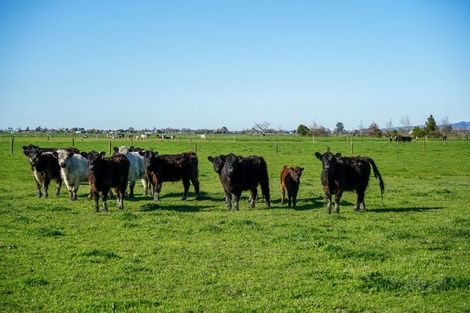 Photo of property in 90 Rawerawe Road, Ngatea, 3597