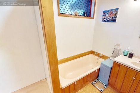 Photo of property in 28a Norton Road, Otumoetai, Tauranga, 3110