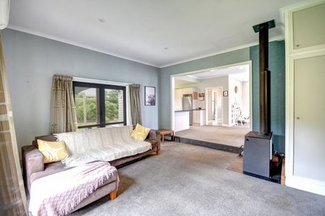 Photo of property in 14 Mountfort Street, Outram, 9019