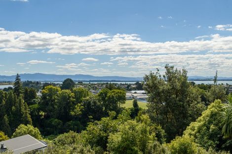 Photo of property in 78 Little John Drive, Bellevue, Tauranga, 3110