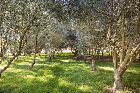 Photo of property in 1633 State Highway 3, Awahuri, Palmerston North, 4476