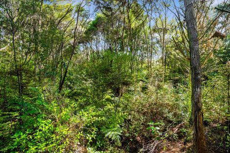 Photo of property in 105b Newman Road, Stillwater, Silverdale, 0993